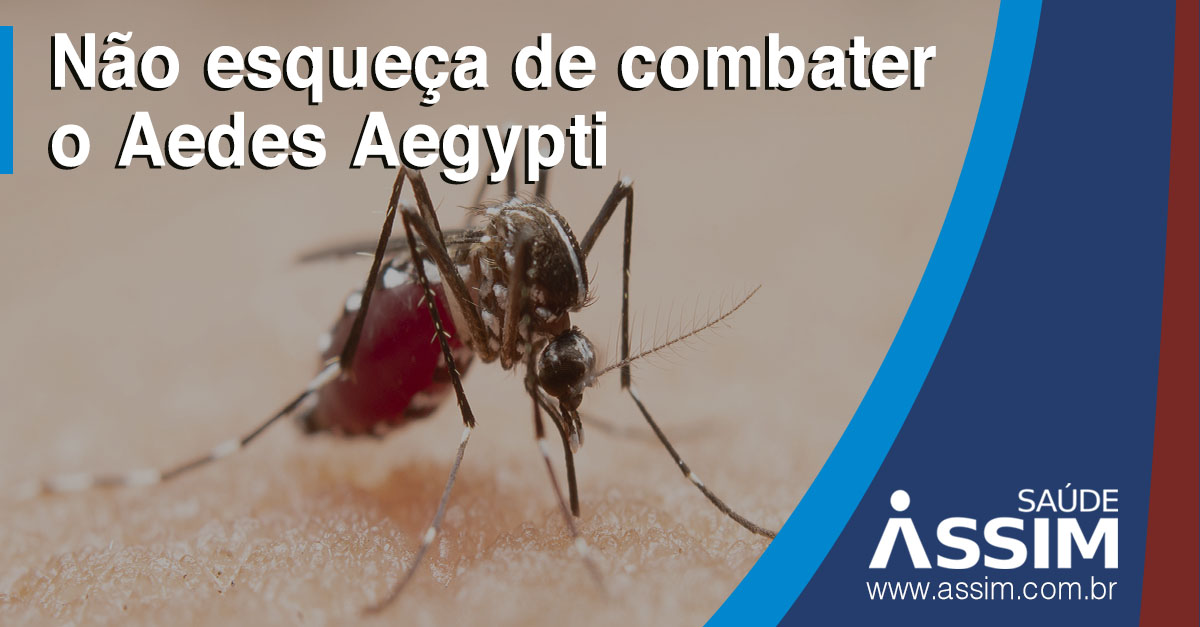 Mesmo na pandemia, no esquea de combater a dengue, zika e chikungunya!
