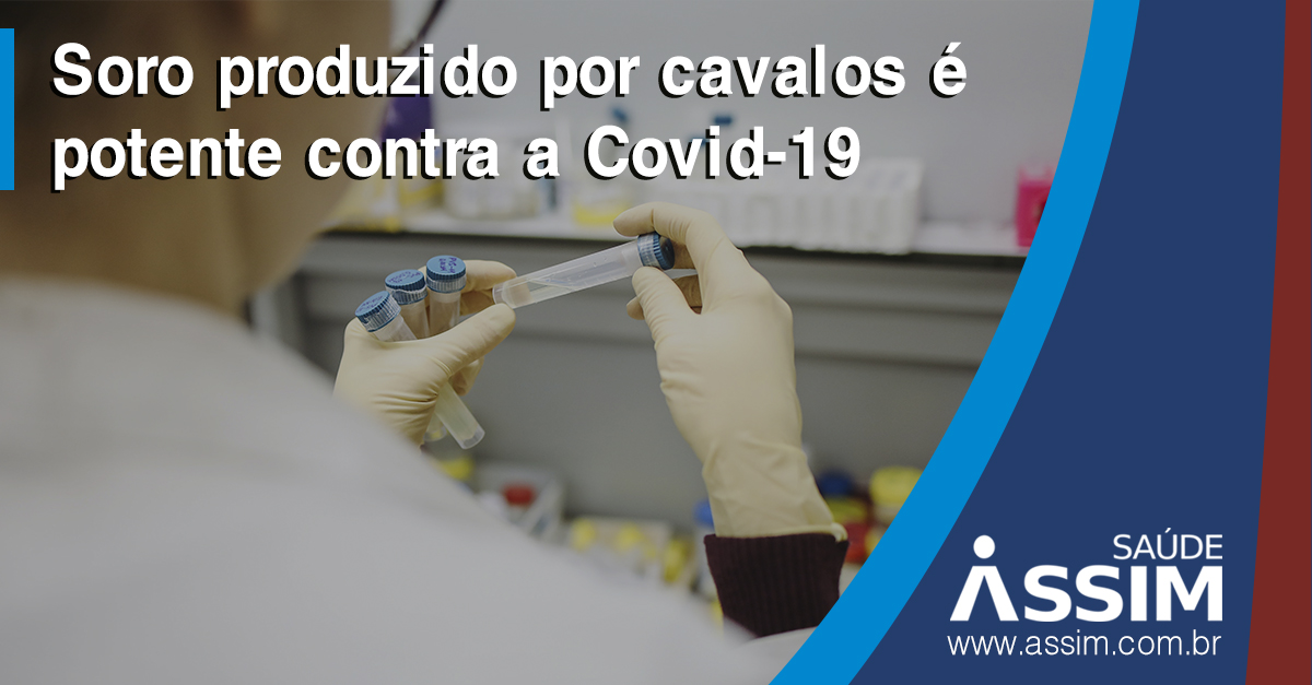 Soro produzido por cavalos é potente contra a Covid-19